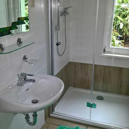 Irene - Schoetz, Michael Gm 69807 * Граль-Мюриц